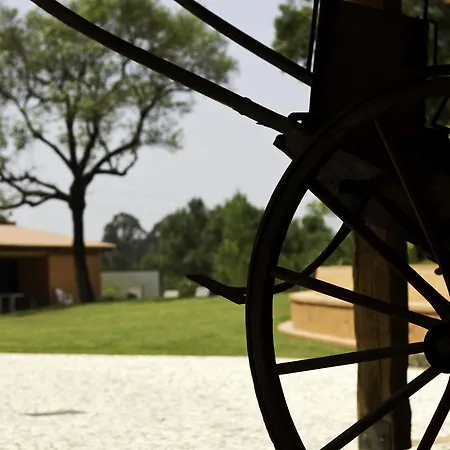 Farm stay Quinta De Lograssol *