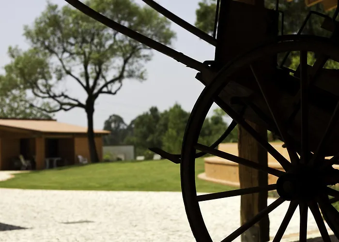 Фермерский дом Quinta De Lograssol *